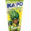 Suco pronto de abacaxi Kapo 200ml.